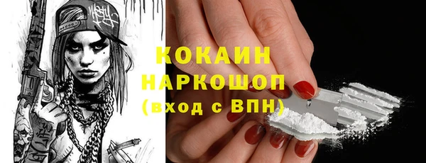 a pvp Новозыбков