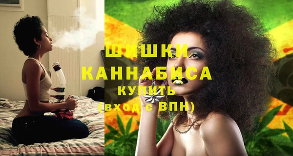 молекула духа Нягань