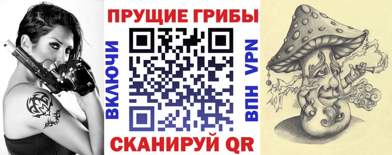 гидра   Миллерово  Галлюциногенные грибы Magic Shrooms  где купить наркоту 