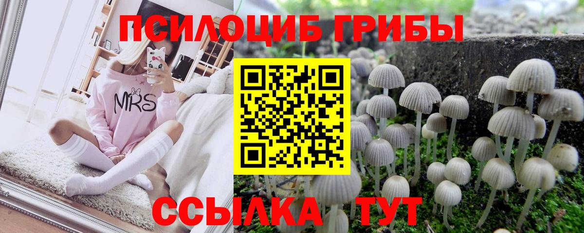 Псилоцибиновые грибы Magic Shrooms  Вход с VPN  Миллерово 